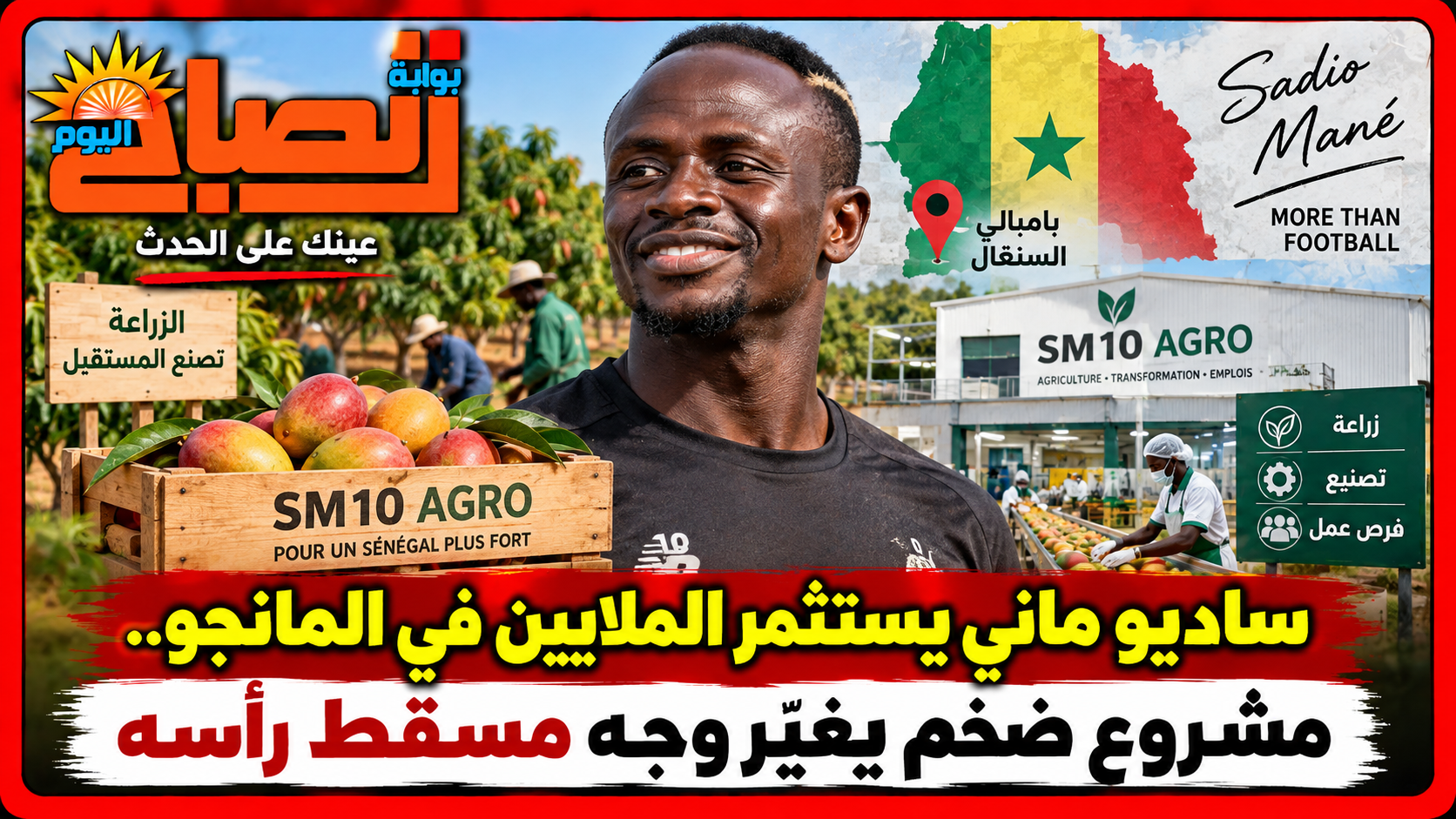 ساديو ماني بائع مانجو. في السنغال. مشروع ضخم يغيّر وجه مسقط رأسه